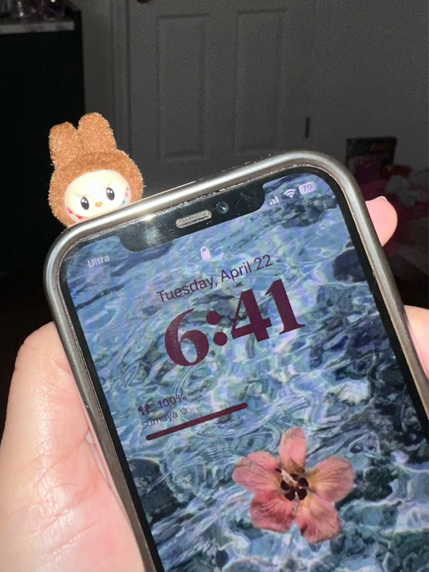 Silicone Suede Labubu Phone Case For Iphone 11 12 13 14 15 16pro Max Plus 16pro 15pro Diy Soft Brown Cover Coque Fall Prevention photo review