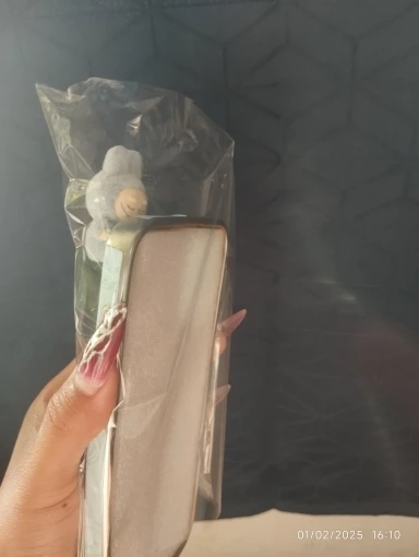 Silicone Suede Labubu Phone Case For Iphone 11 12 13 14 15 16pro Max Plus 16pro 15pro Diy Soft Brown Cover Coque Fall Prevention photo review
