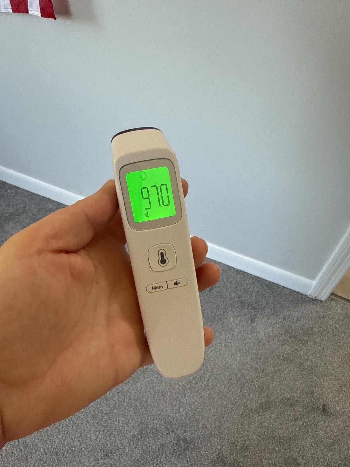 No-Touch Thermometer for Adults and Kids. Accurate Digital Baby Thermometer. Fever Alarm & Silent Mode. 2 in 1 Forehead & Object Mode photo review