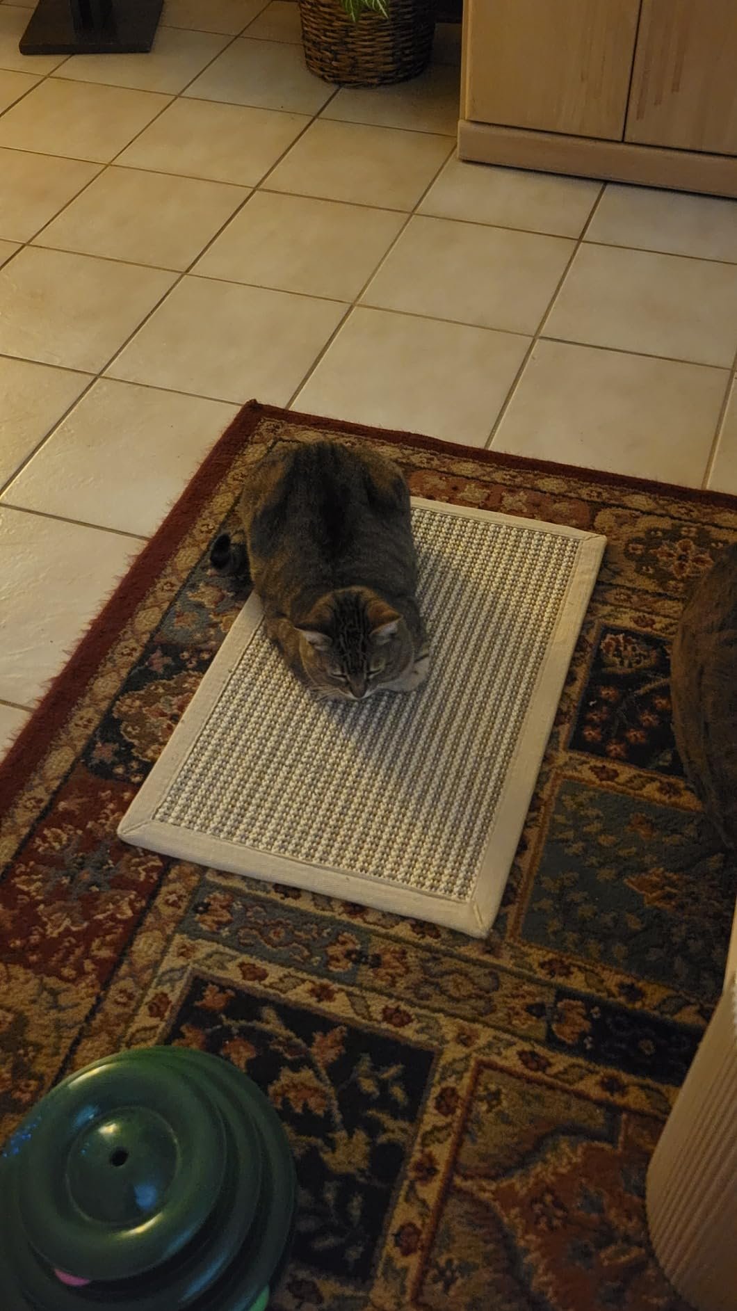 FUKUMARU Cat Scratcher Mat. 23.6 X 15.7 Inch Natural Sisal Cat Scratch Mats. Horizontal Cat Floor Scratching Pad Rug with Sticky Tapes. Protect Couch and Carpets photo review