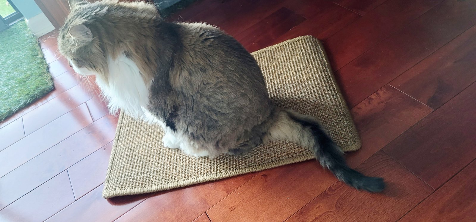 FUKUMARU Cat Scratcher Mat. 23.6 X 15.7 Inch Natural Sisal Cat Scratch Mats. Horizontal Cat Floor Scratching Pad Rug with Sticky Tapes. Protect Couch and Carpets photo review